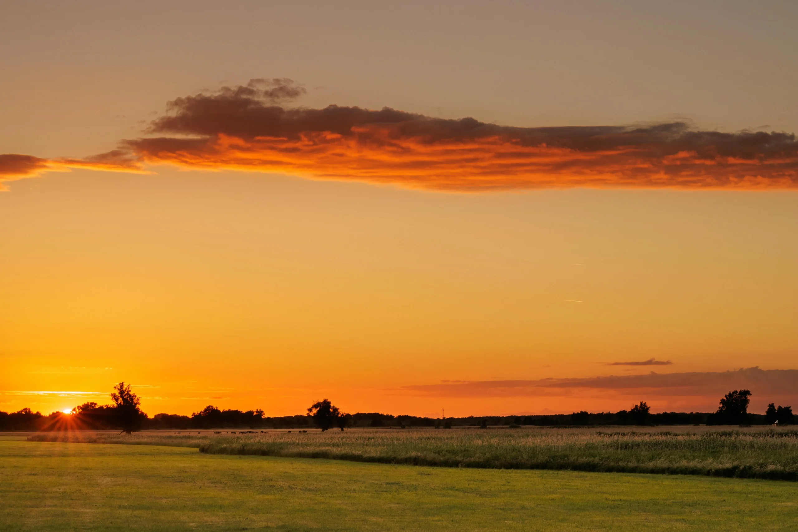 Customer using an ATM machine in Nebraska – evaluating ATM location opportunities